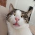 kemal (@kemal432778) Twitter profile photo kemal (@kemal432778) Twitter profile photo