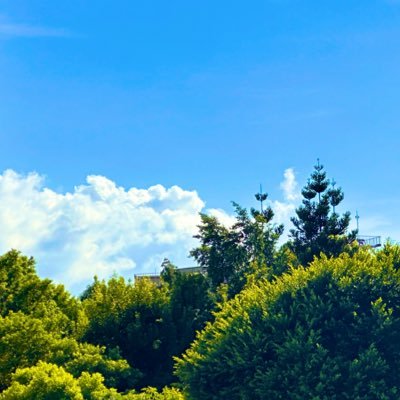 megaluckystar's profile picture. 呪術／🏐／銀魂／🥷／20↑／無言フォロー失礼します