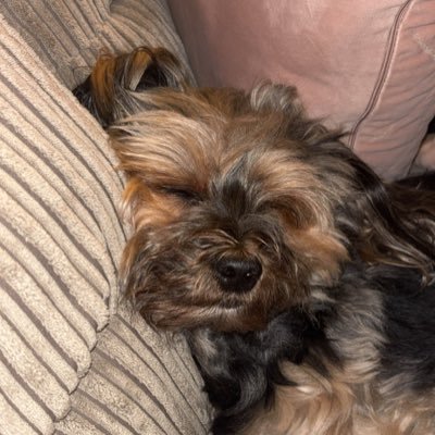 ColeMcCabe111's profile picture. ...