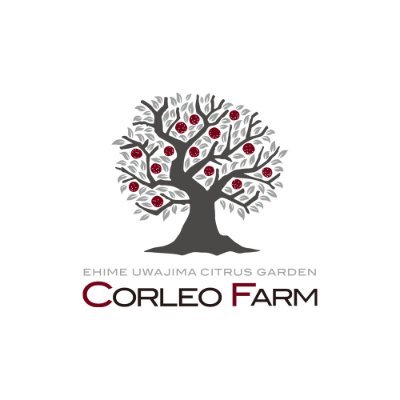CORLEO_F2018's profile picture. 愛媛県宇和島市でブラッドオレンジ を中心に温州みかん他12品種を栽培する柑橘農家🧑‍🌾海と山に囲まれたみかんの町ならではの情景に魅せられアパレル業界から一念発起鬐✋ 単身宇和島に移住 2018年CORLEO FARMを立ち上げる 顔が見える関係を大切にお客様に「よろこび」を届けられるよう日々柑橘と向き合っています