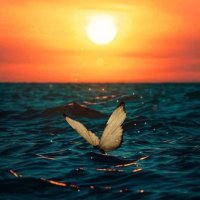 Rayan Ali (@rayan_4405) Twitter profile photo