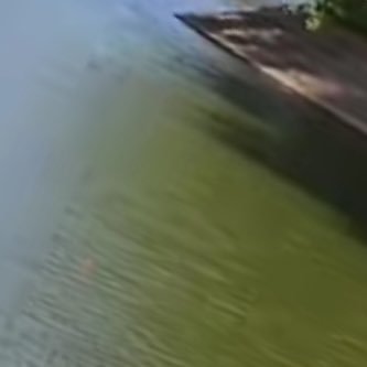 imjisooimok2525's profile picture. 