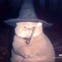 t (@chcbvby) 's Twitter Profile