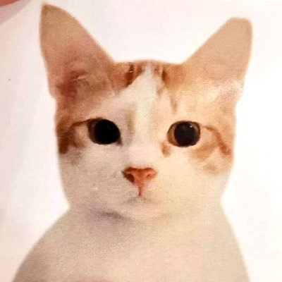 CATPIC1x1's profile picture. PICTURE OF A CAT IN 1x1? ca:BTWTPjAvsHfPkUovFQxhaqcVxxQN19m6jZwoJZFepump