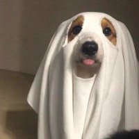katy (@abaabaaba52711) 's Twitter Profile