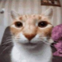 SanicTheHotdog (@sanichotdog181) 's Twitter Profile Photo