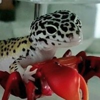 たけ (@ta___tatatatata) 's Twitter Profile