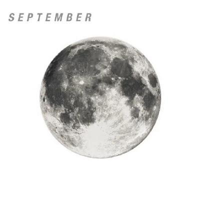 liwenkang_space's profile picture. 
