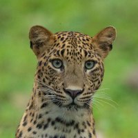 Rachump (@x2052394495840) 's Twitter Profile