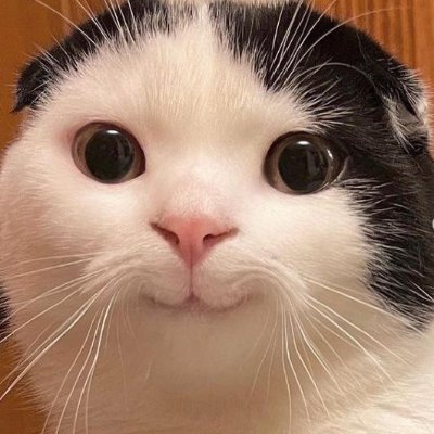 ʜᴀʀɪʀɪɴɢさんのプロフィール画像