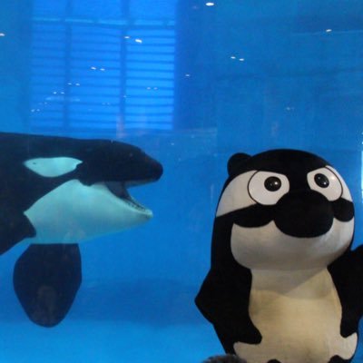 redorcafootball's profile picture. サッカー好きのおじさん。自称グランパスファミリー⚽️。好きな鯱は、豊田スタジアムの赤鯱、名古屋港水族館の鯱、名古屋城の金鯱。 たまにフォローやツイートします。何事も適度に