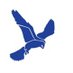 Falconbrook Primary School (@falconbrooksw11) Twitter profile photo Falconbrook Primary School (@falconbrooksw11) Twitter profile photo