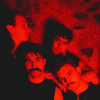Under Starling (@understarling) 's Twitter Profile