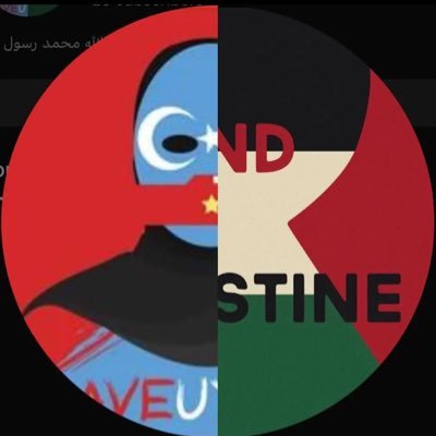 HaqqJadi's profile picture. Always Alhamdulillah 👊🏽👊🏽 Tried every pleasure, found peace in ISLAM l Proud Muslim Man - Servant of Allah, Australian ٱلْحَمْدُ لِلَّٰهِ