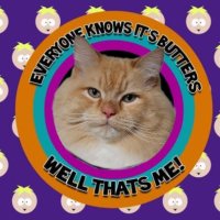 Butters (@lordbutters22) 's Twitter Profile
