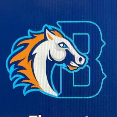 BrosnahanLib's profile picture. Brosnahan Elementary School Library