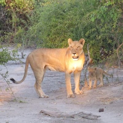 JKSV_X's profile picture. 