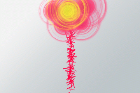 mnoble8's profile picture. 