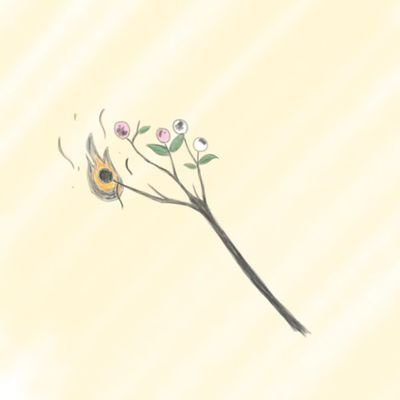 牟牟さんのプロフィール画像