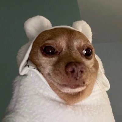 yii_iiy_'s profile picture. 