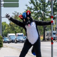 Ryuxwolf (@ryuxwolf) 's Twitter Profile Photo Ryuxwolf (@ryuxwolf) 's Twitter Profile Photo
