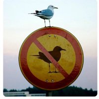 ADeSade (@sade_add) Twitter profile photo