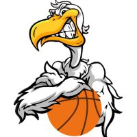 Port Allen Boys’ Basketball (@pelshoops) 's Twitter Profile