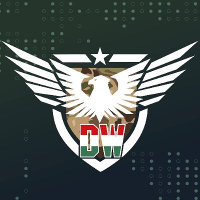 Digital Warriors Profile