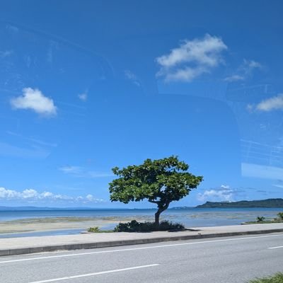 mibimaru19's profile picture. JTCフルタイム正社員ママ（産休中）🏃/ 2歳👦/ WEBデザイン勉強中🔰 / 副業をカタチに

　#オンライン秘書　#WEBCOACH　#ウェブコーチ　#薬剤師