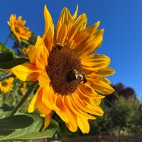 Juan Vásquez (@juanvsq84644673) 's Twitter Profile
