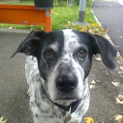 nanu_numa's profile picture. 