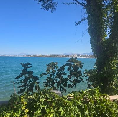 jakubvanwo25046's profile picture. 