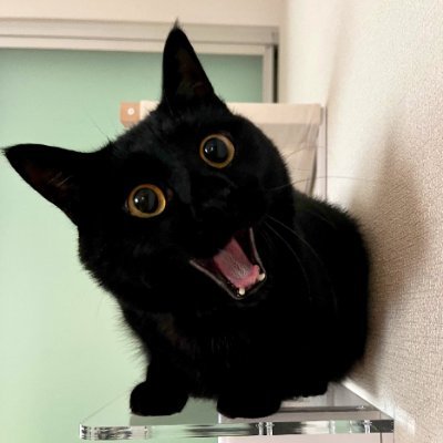 c01dsummer's profile picture. 