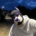 pupmonty (@puppy_monty) Twitter profile photo pupmonty (@puppy_monty) Twitter profile photo