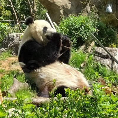 m9yK1bgi3l84729's profile picture. アカウントを新しくするかもしれません。
それかサブ垢