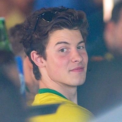 psicologia - ak!Nick Pov (Arkanis) - Shawn Mendes
