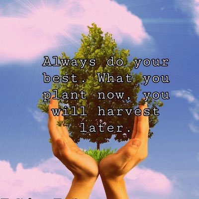 Rondondigityth1's profile picture. Wealth, growth, and self-mastery. The path to prosperity starts within.