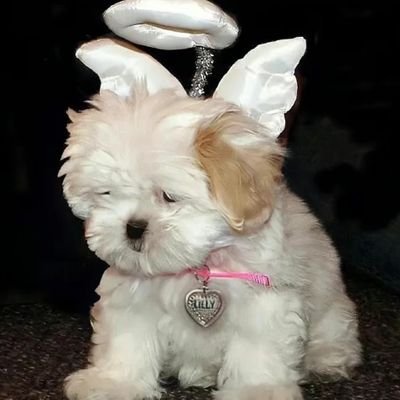 qinyi75703567's profile picture. 一小部分我。