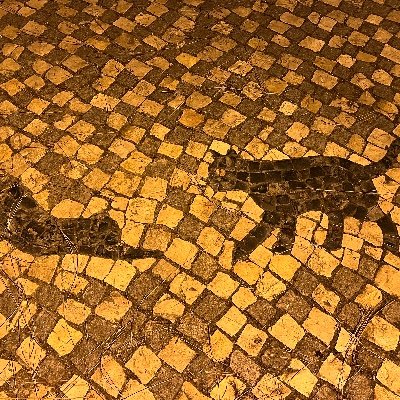 nidazoh's profile picture. 