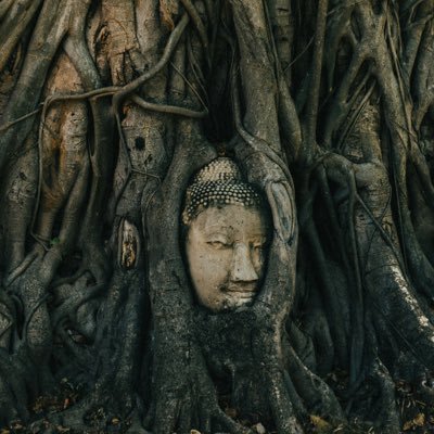 dannygoesheaven's profile picture. 