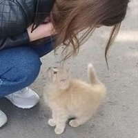 Swoatorth (@swoatorthxr9zf) 's Twitter Profile