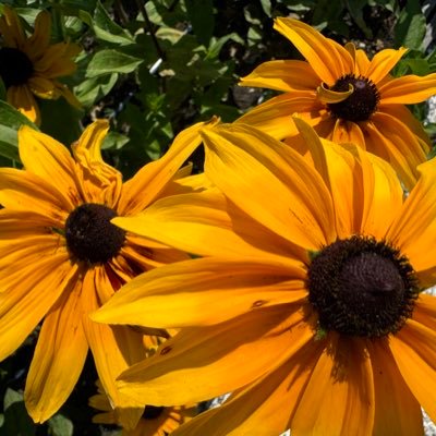 StephenIbachQED's profile picture. Co-Creator of Two Beautiful Children. Sometimes I try to be funny. Tweets are my own.