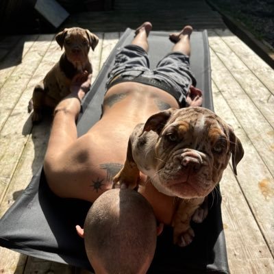 CrookedTaless's profile picture. Angry White Human. Swears A Lot. Northern Irish. Still Shadow Banned. Sharing Olde Tyme English Bulldogges & Anything Else I Find Interesting.