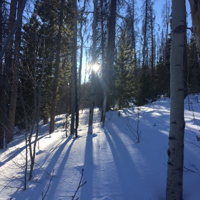 Father to twin girls; Lover of the outdoors, breakfast tacos & good music; Conservationist; Work @ #Nutanix; Passionate about driving value w/ IT; Tweets my own