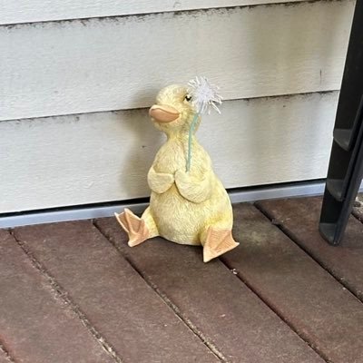 Evan_1301's profile picture. the bastard child of Liza Minnelli and Merle Ambrose