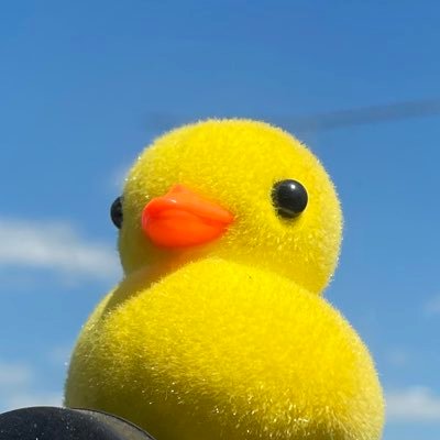 patitodejuguete's profile picture. idk