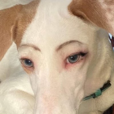 nasnak2's profile picture. sla