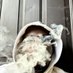 za🥦toven🥣 (@iisaiiahh_2xx) Twitter profile photo za🥦toven🥣 (@iisaiiahh_2xx) Twitter profile photo