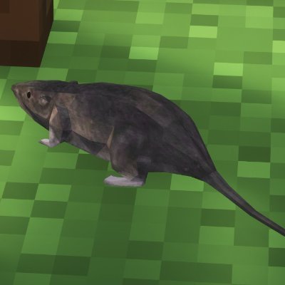 algumacoisinh4's profile picture. : )