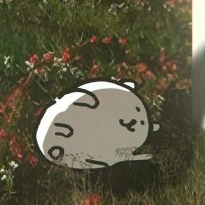 N. 😶さんのプロフィール画像